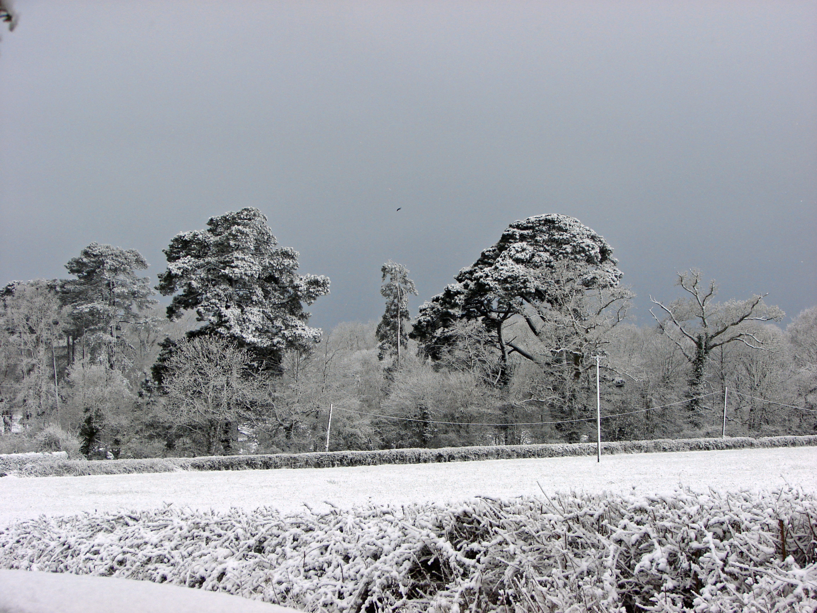 Curdridge, Hamble Valley, Meon Valley . . .