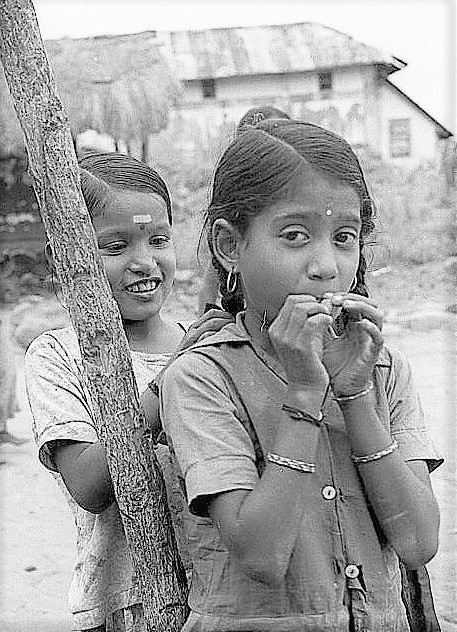 Sirumalai-80-007