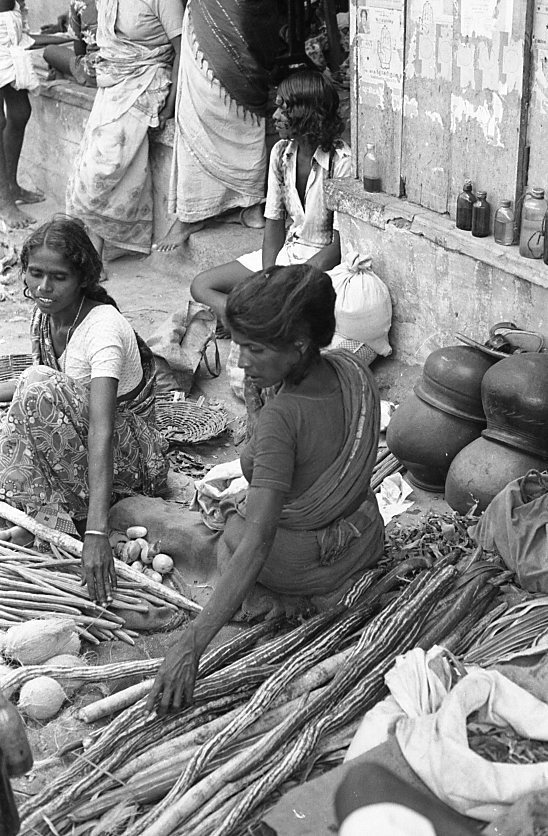 Sirumalai-80-041