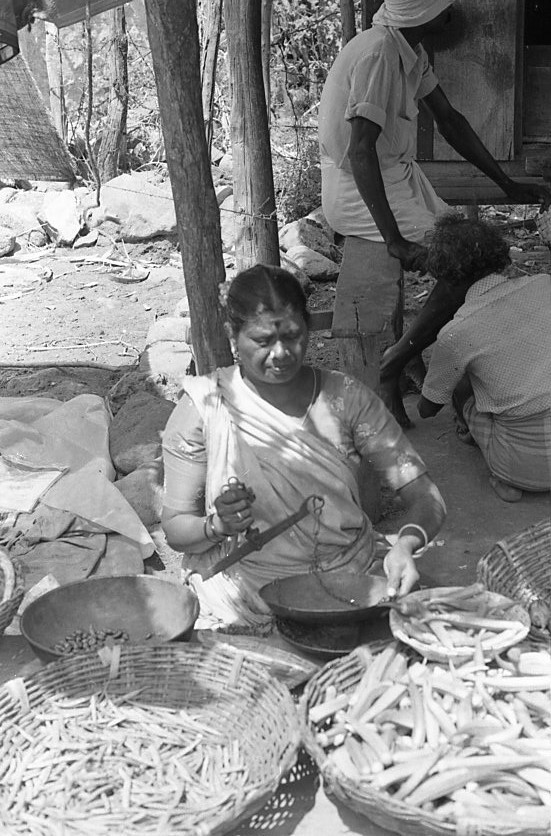 Sirumalai-80-044