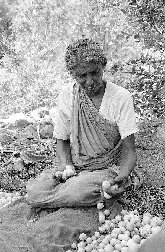 Sirumalai-80-084