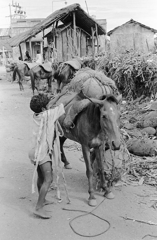 Sirumalai-80-106