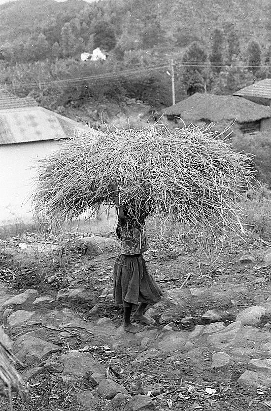 Sirumalai-80-199