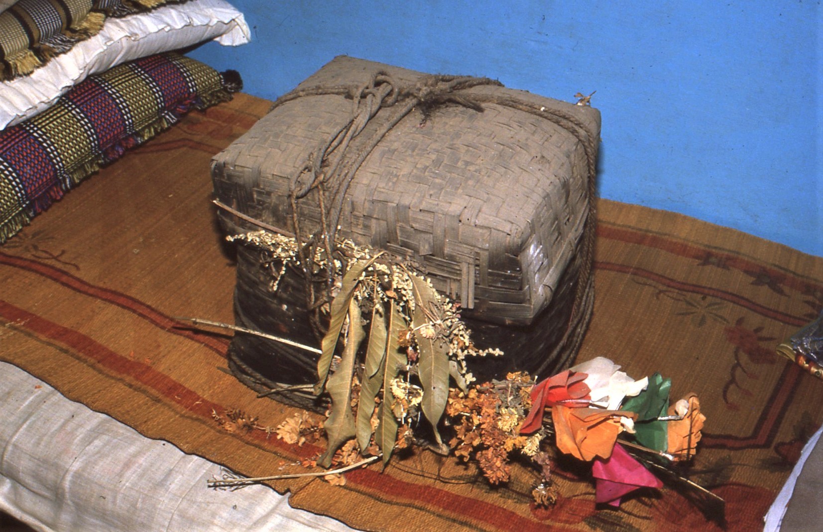 Ammanis-box