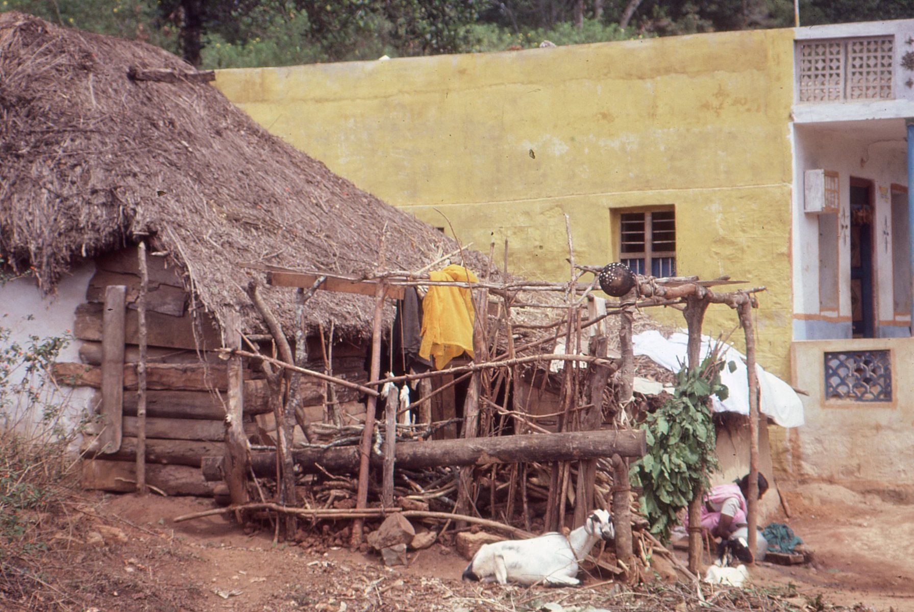 Palaiyur-12