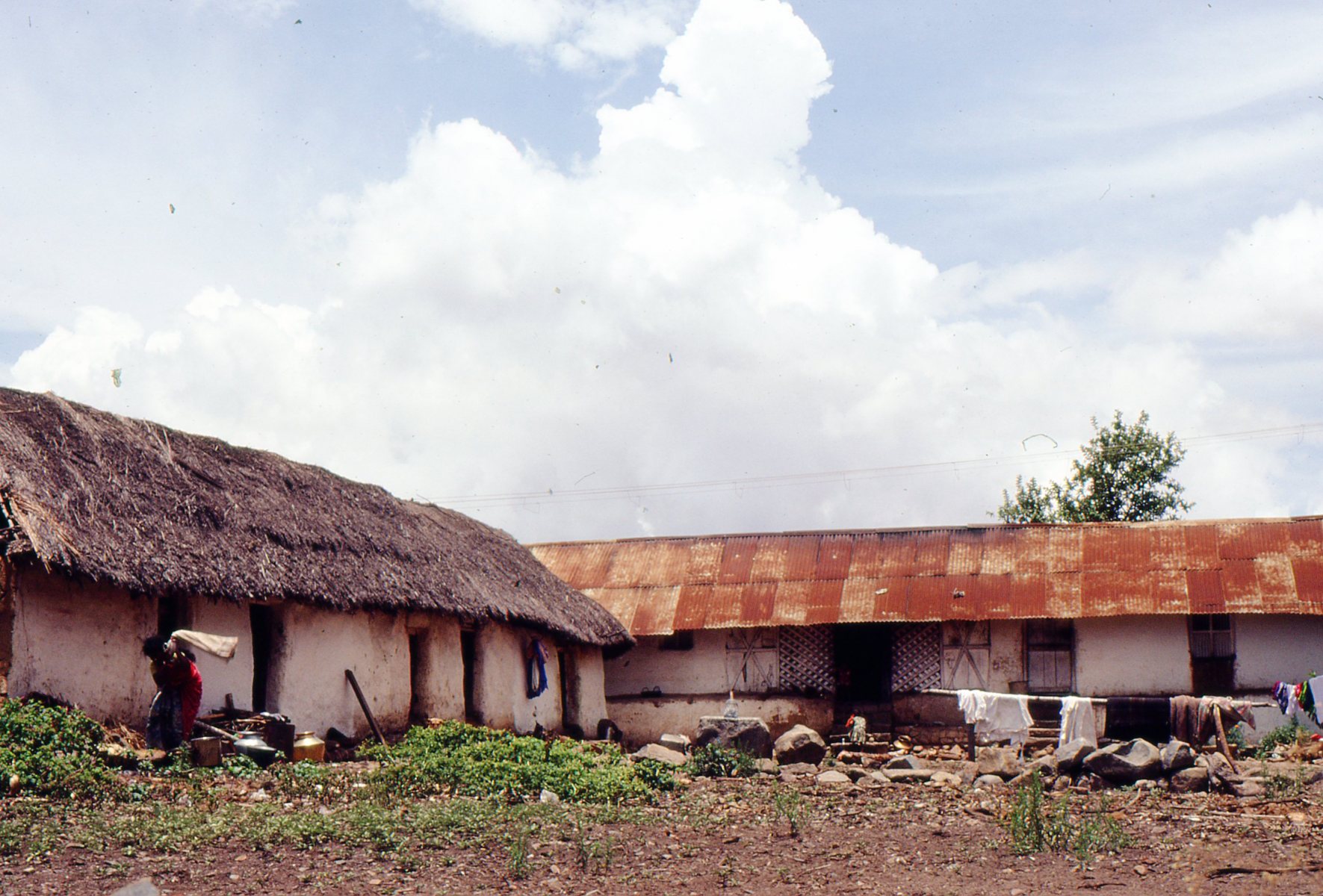 Palaiyur-8-NMEPs-House