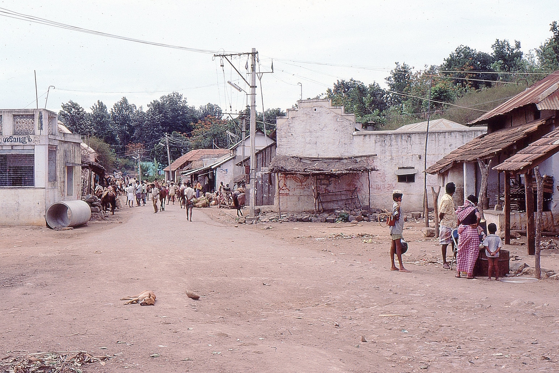 Palaiyur-9