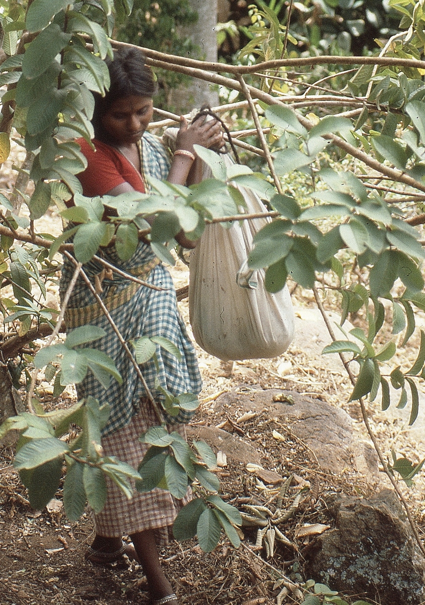 Palaiyur