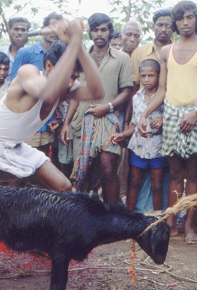 Palayankadu-festival
