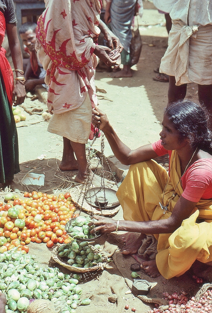 Sirumalai-80056