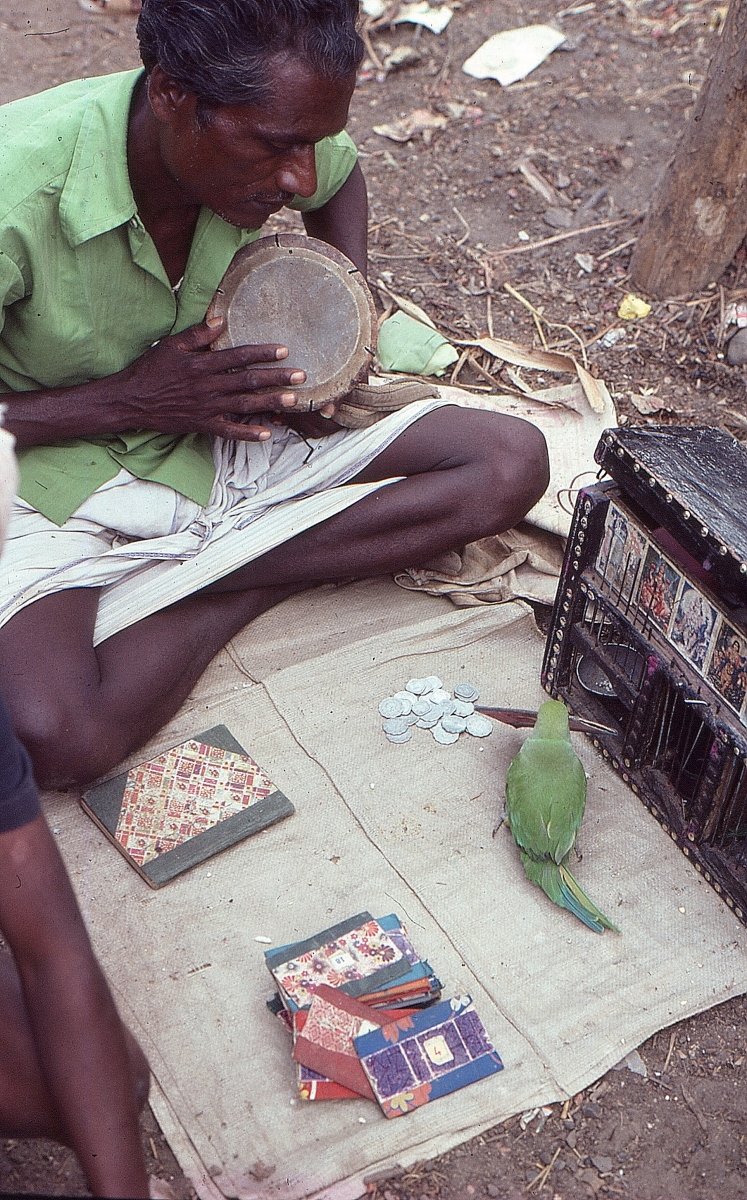 Sirumalai-80065