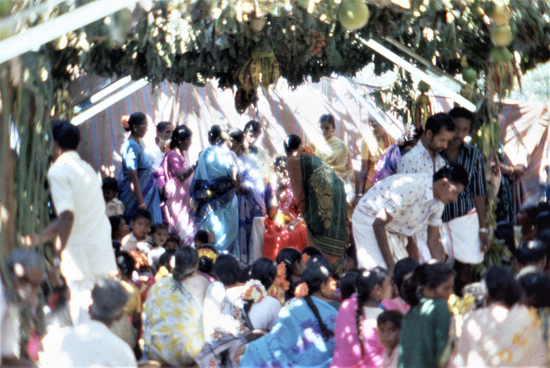 Sirumalai-80079