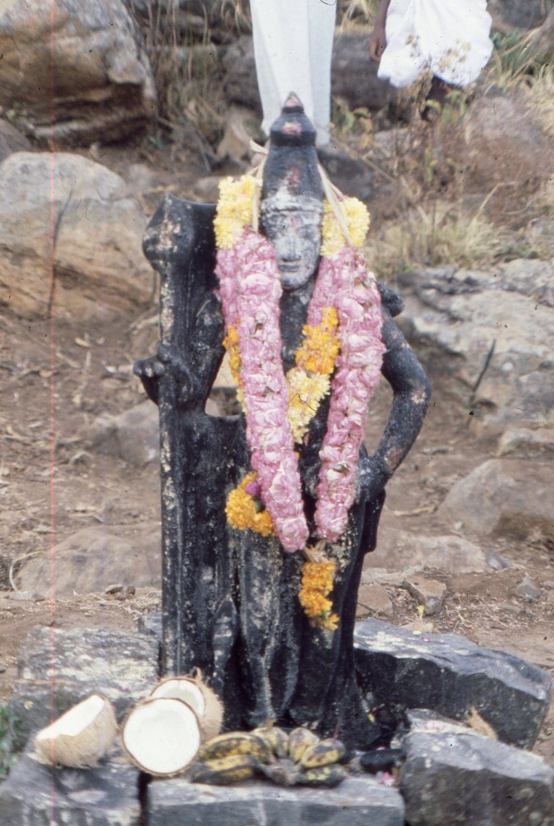 Sirumalai-80091
