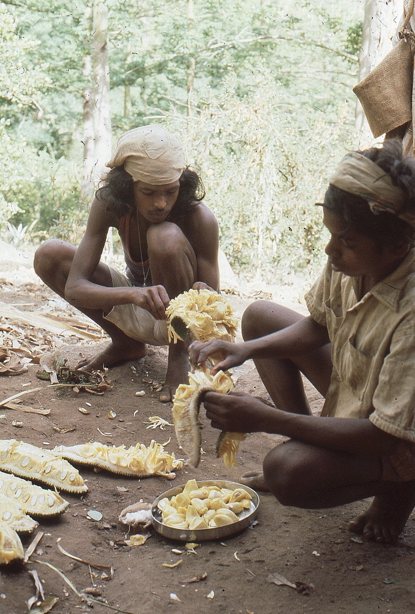 Sirumalai004