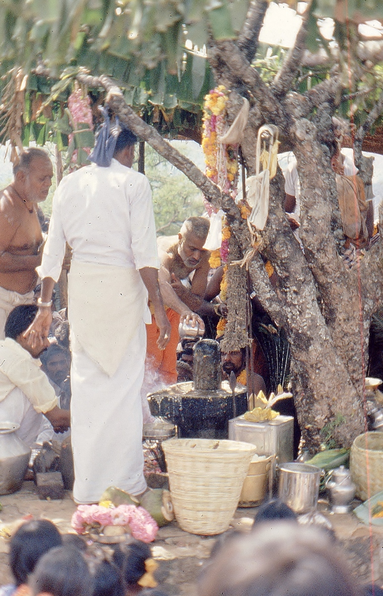 Vellimalai-festival-11