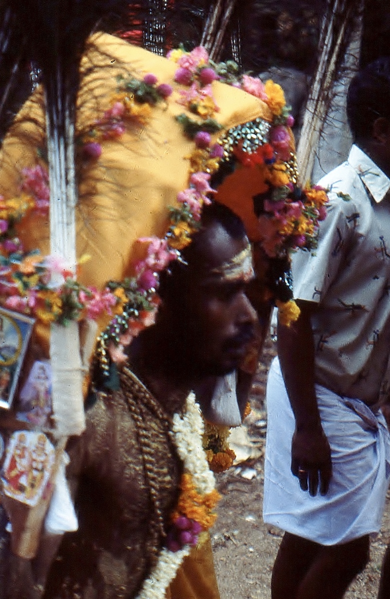 Vellimalai-festival013