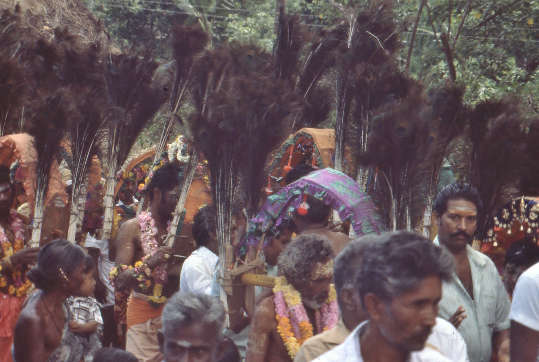 Vellimalai-festival016