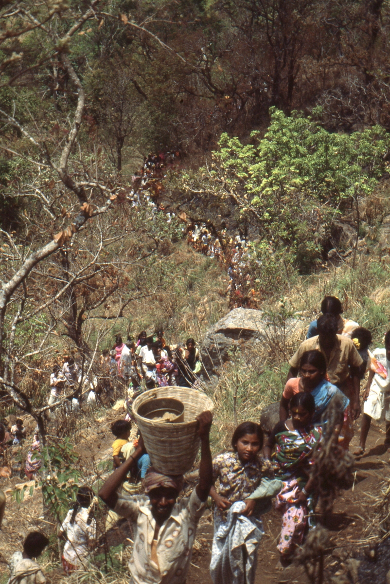Vellimalai-festival017