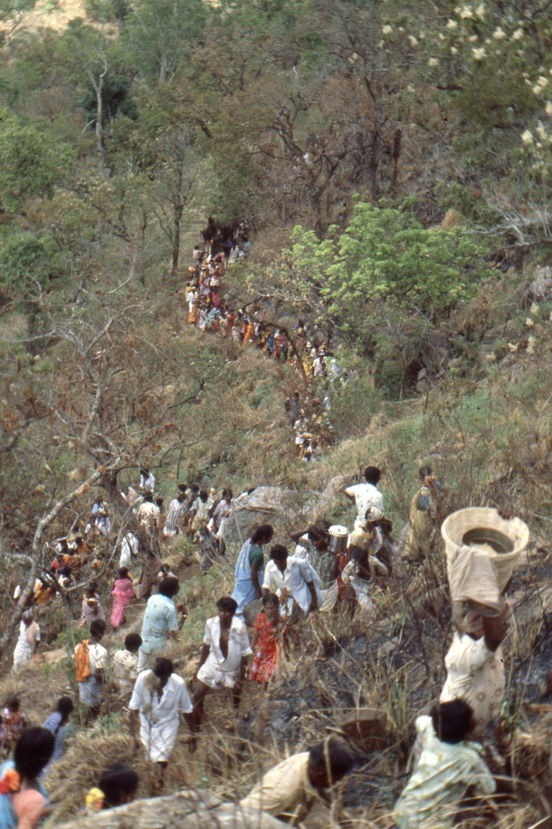 Vellimalai-festival018
