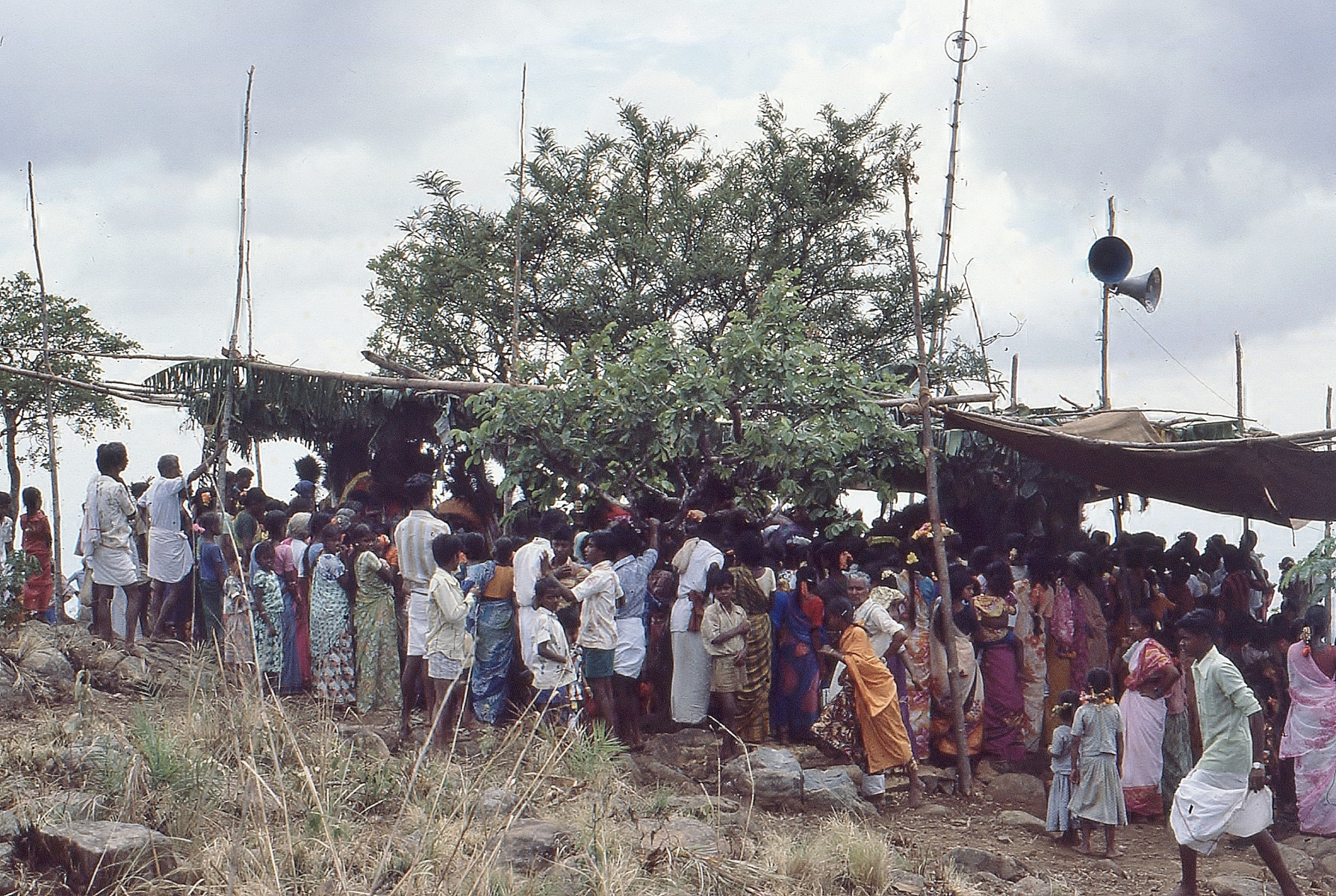 Vellimalai-festival020