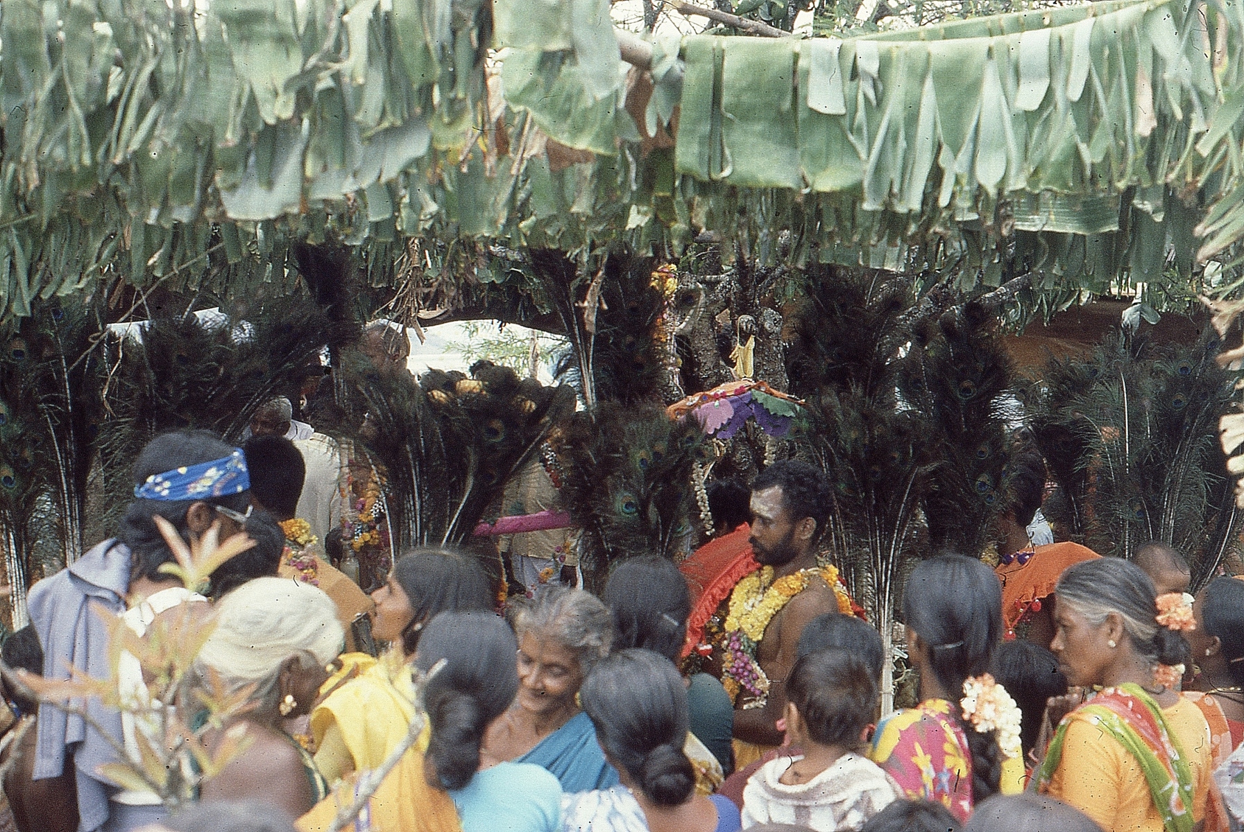 Vellimalai-festival022