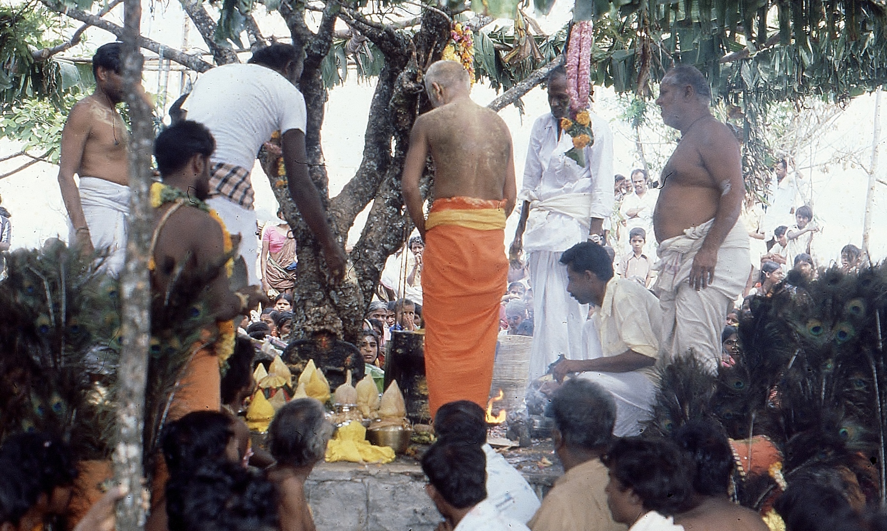 Vellimalai-festival023
