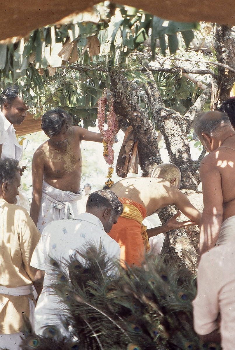 Vellimalai-festival024