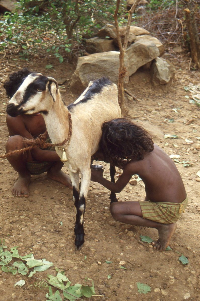 img003