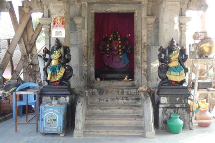 P1000115