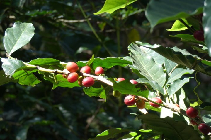 P1000122