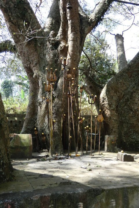 P1000124