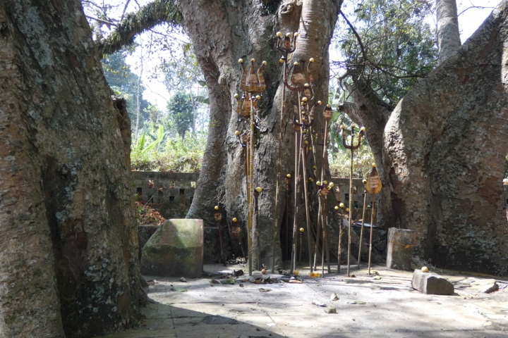 P1000125