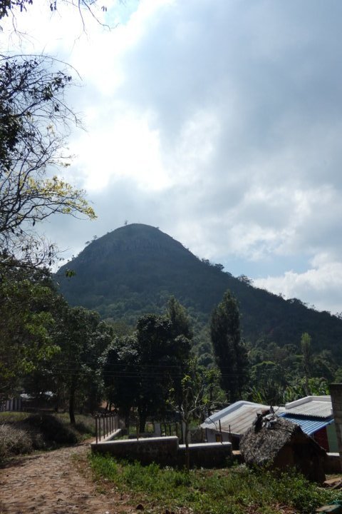 P1000126