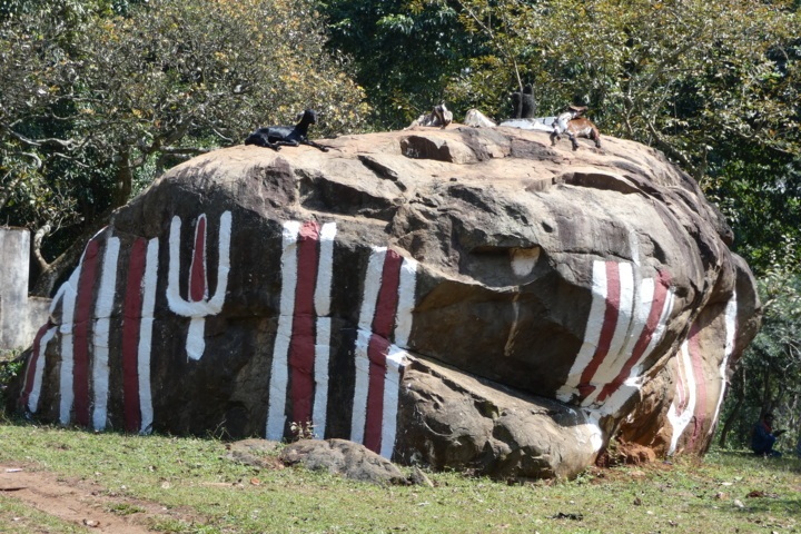 P1000129