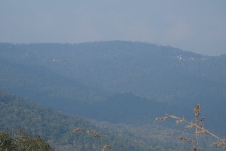 P1000132