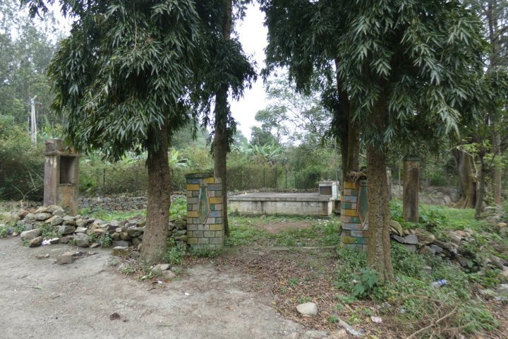 P1000135