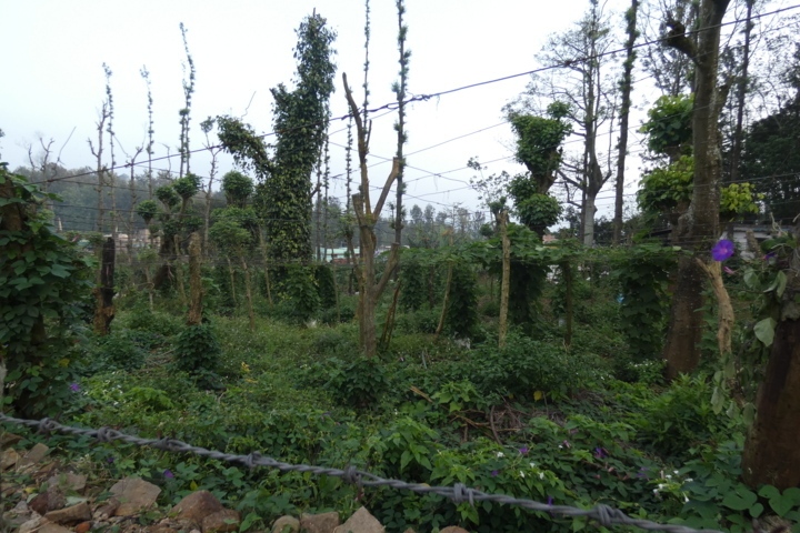 P1000142