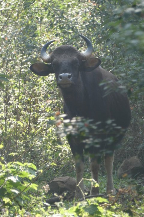 P1000172