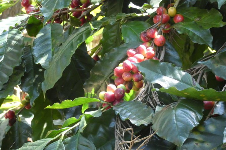 P1000183