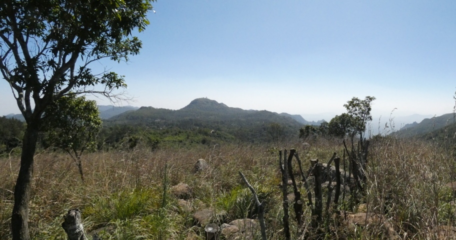 P1000189