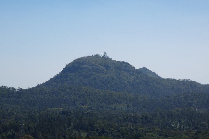 P1000191