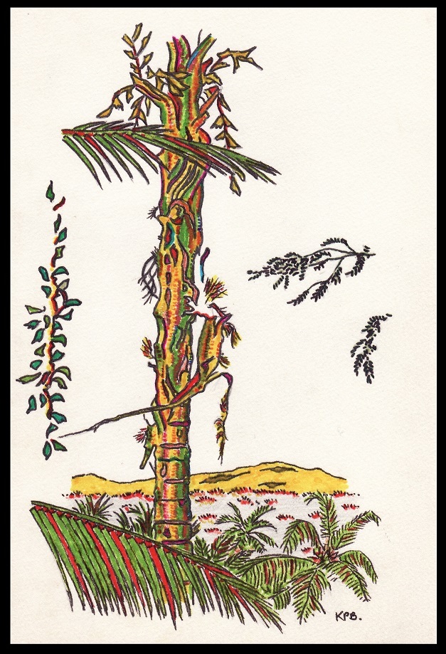 Coconut-palm-1979-for-web