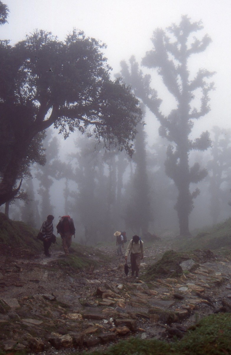 Almora District - 1990s